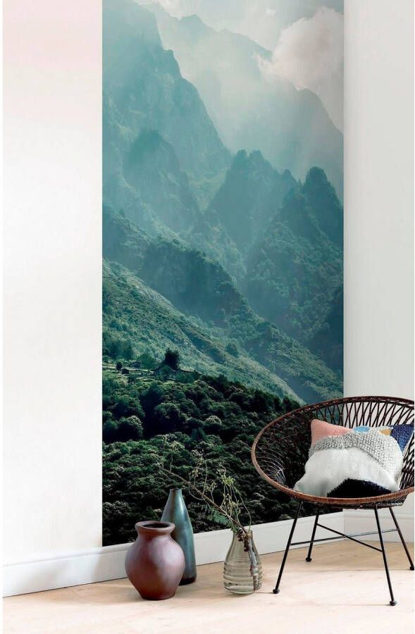 Komar Vliesbehang Digitale print vlies The Summit Panel Afmeting 100 x 250 cm (1 stuk)