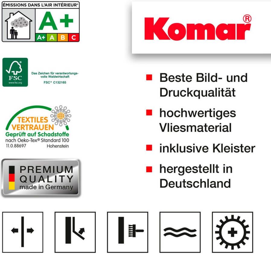 Komar Vliesbehang Digitale print vlies Timeless Temple Afmeting 400 x 250 cm (1 stuk)