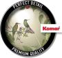 Komar Vliesbehang Digitale print vlies Wildlife Birds Afmeting 200 x 250 cm (1 stuk) - Thumbnail 3