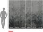 Komar Fotobehang Wondrous Watermarks 300x250cm Vliesbehang - Thumbnail 7