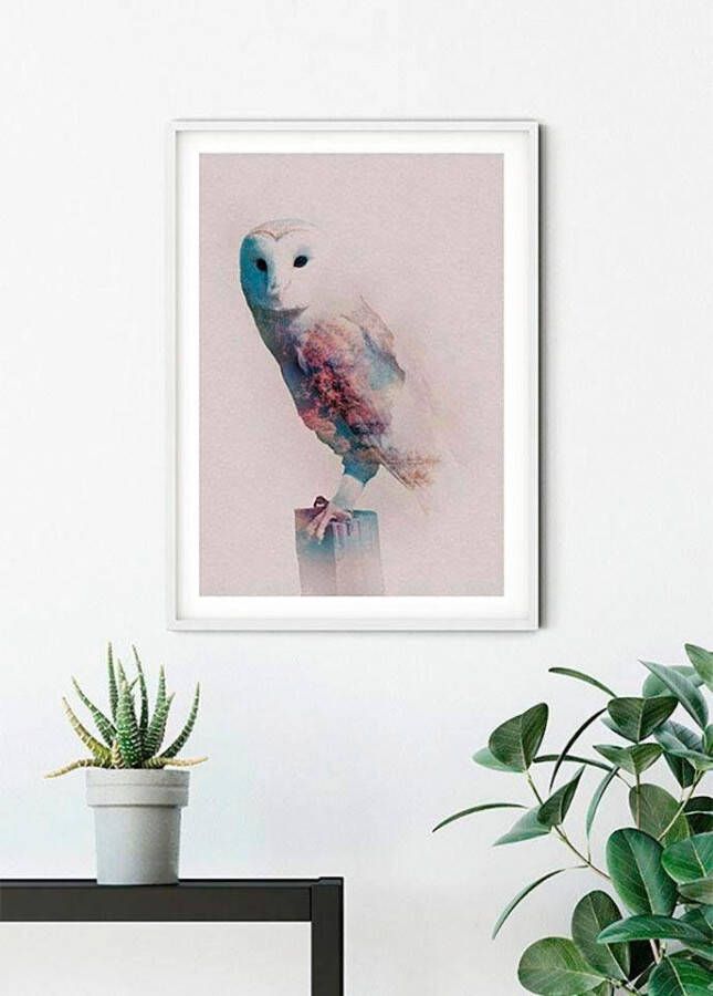 Komar Wanddecoratie Animals forest Owl Wanddecoratie zonder lijst (1 stuk)