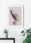 Komar Wanddecoratie Animals forest Owl Wanddecoratie zonder lijst (1 stuk) - Thumbnail 2
