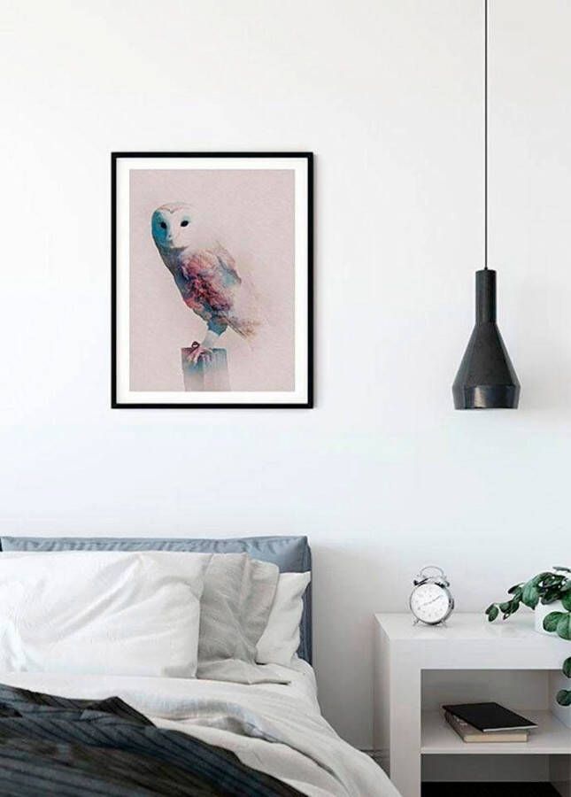 Komar Wanddecoratie Animals forest Owl Wanddecoratie zonder lijst (1 stuk)