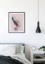 Komar Wanddecoratie Animals forest Owl Wanddecoratie zonder lijst (1 stuk) - Thumbnail 3