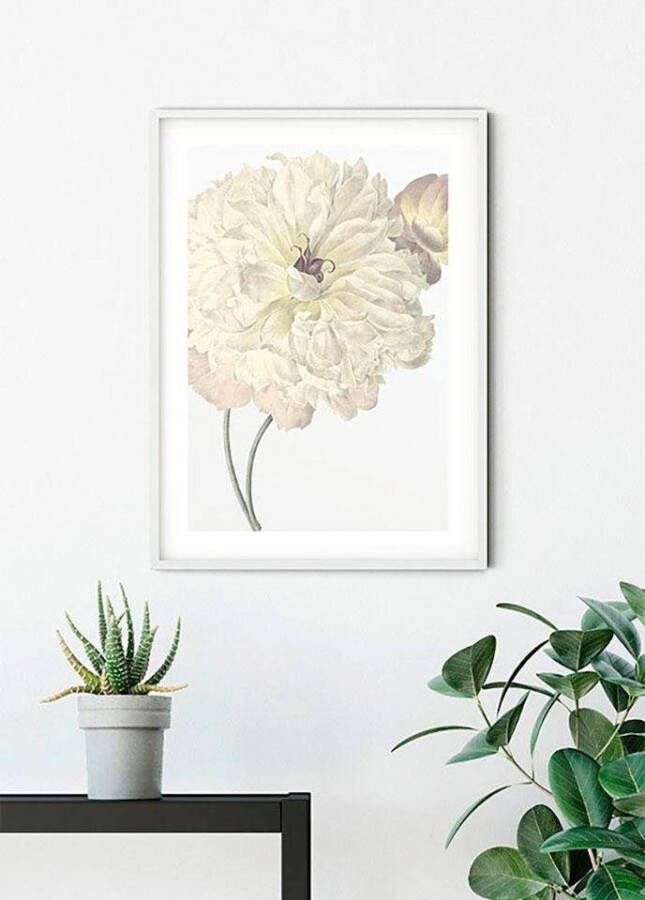 Komar Wanddecoratie Illustratie Dahlia Wanddecoratie zonder lijst