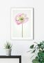 Komar Wanddecoratie Poppy Wanddecoratie zonder lijst (1 stuk) - Thumbnail 2