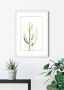 Komar Wanddecoratie Saguaro Watercolor Wanddecoratie zonder lijst (1 stuk) - Thumbnail 2