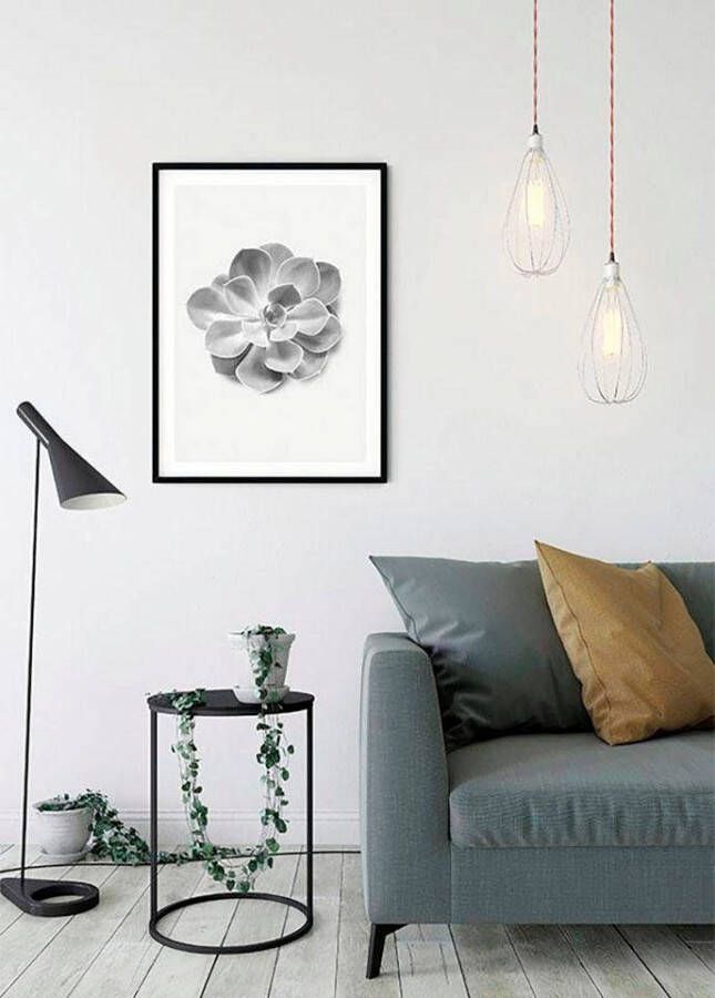 Komar Wanddecoratie Succulent Aeonium Wanddecoratie zonder lijst (1 stuk)