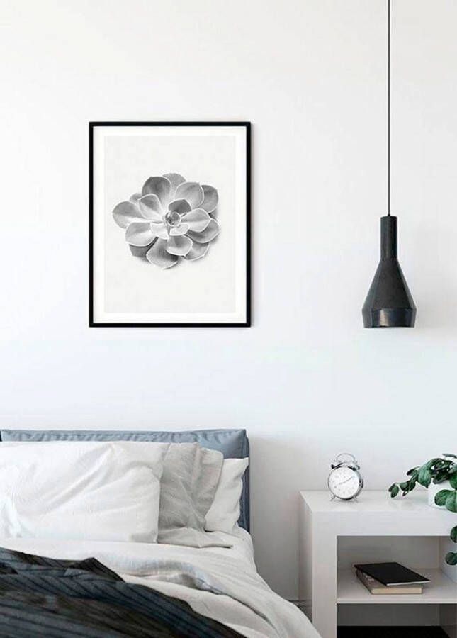 Komar Wanddecoratie Succulent Aeonium Wanddecoratie zonder lijst (1 stuk)