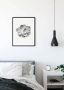 Komar Wanddecoratie Succulent Aeonium Wanddecoratie zonder lijst (1 stuk) - Thumbnail 4