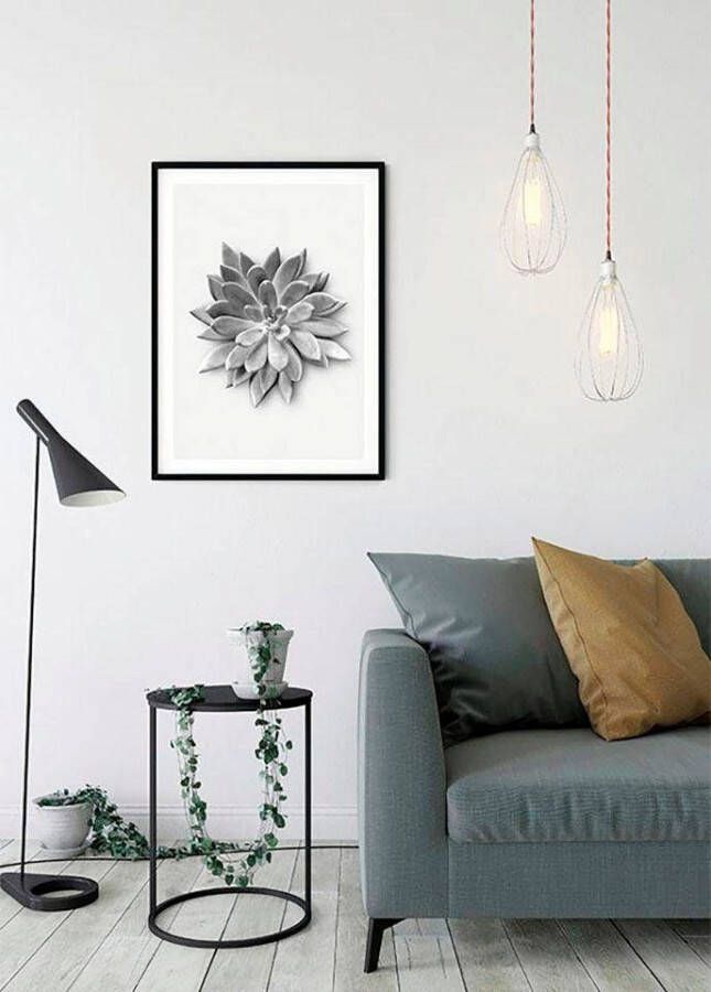 Komar Wanddecoratie Succulent agave Wanddecoratie zonder lijst (1 stuk)