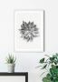 Komar Wanddecoratie Succulent agave Wanddecoratie zonder lijst (1 stuk) - Thumbnail 2