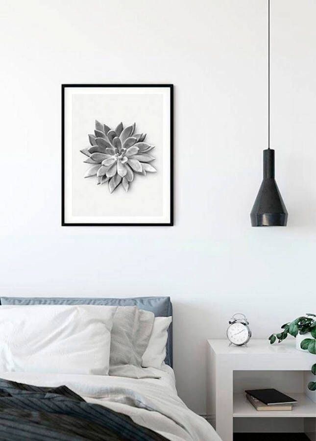 Komar Wanddecoratie Succulent agave Wanddecoratie zonder lijst (1 stuk)