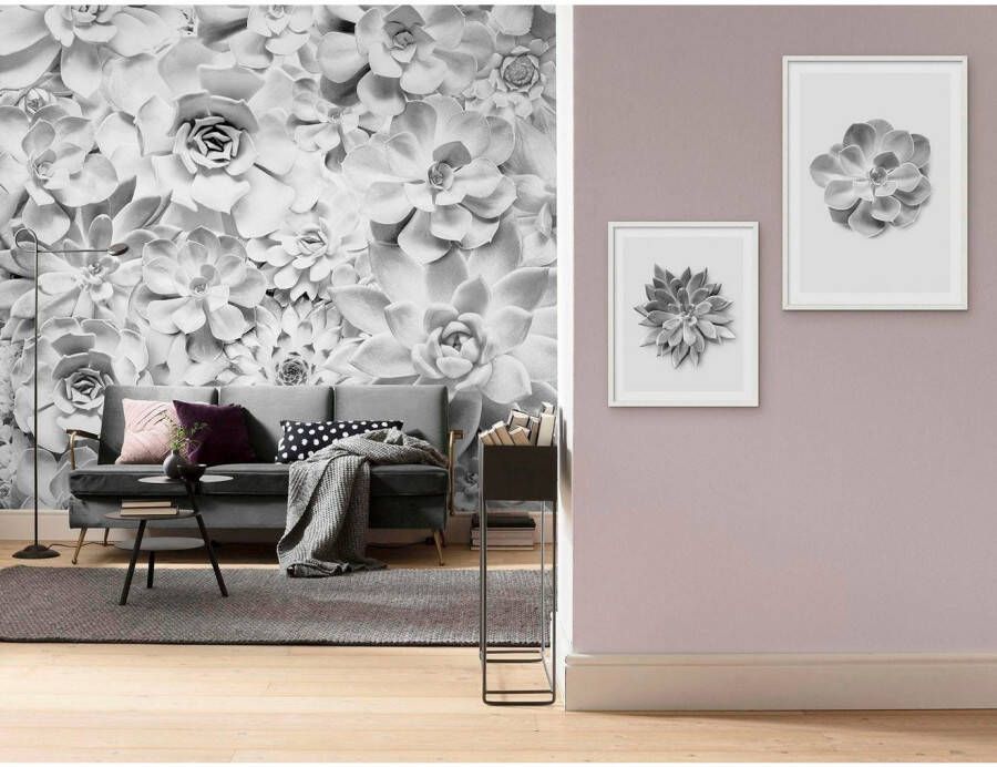 Komar Wanddecoratie Succulent agave Wanddecoratie zonder lijst (1 stuk)