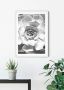 Komar Wanddecoratie Succulent Closeup Wanddecoratie zonder lijst (1 stuk) - Thumbnail 2