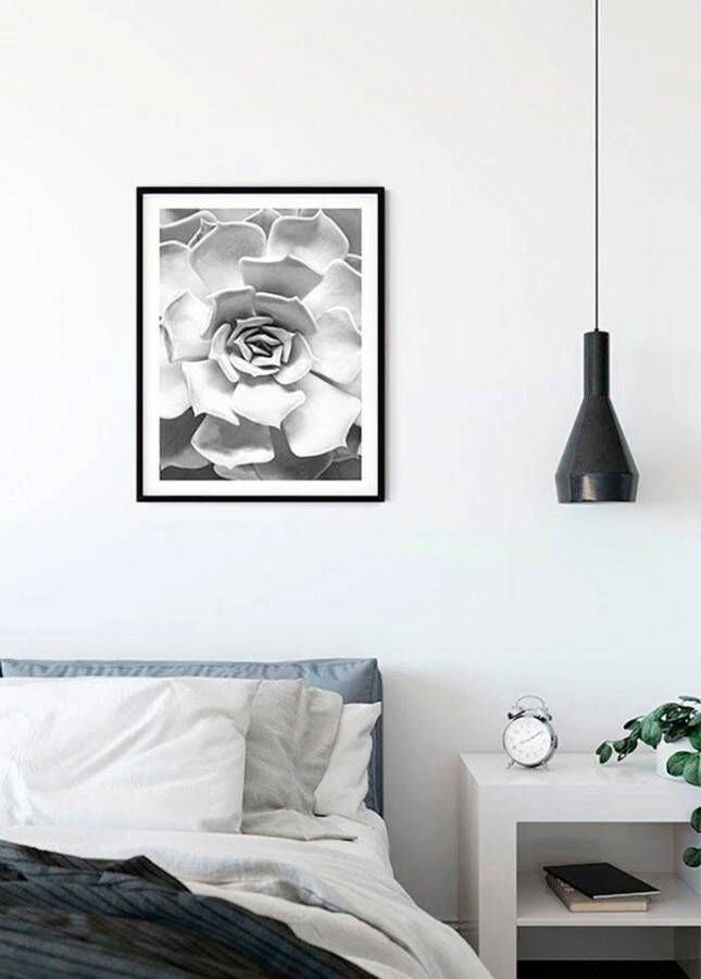 Komar Wanddecoratie Succulent Closeup Wanddecoratie zonder lijst (1 stuk)
