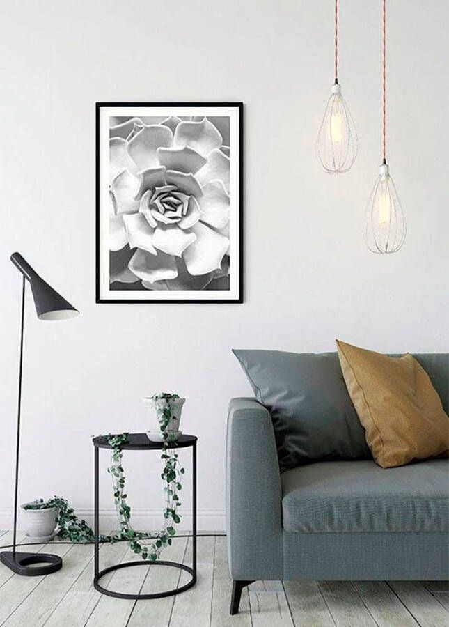 Komar Wanddecoratie Succulent Closeup Wanddecoratie zonder lijst (1 stuk)