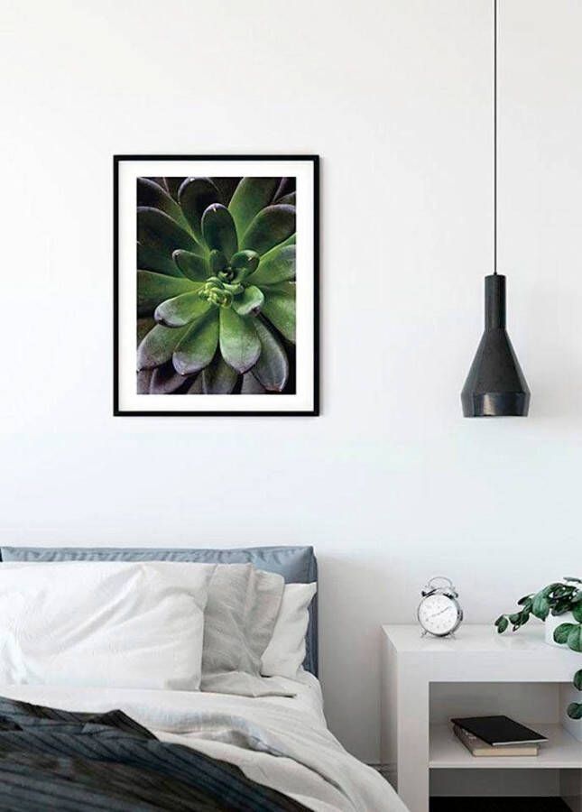 Komar Wanddecoratie Succulent single Wanddecoratie zonder lijst (1 stuk)