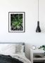Komar Wanddecoratie Succulent single Wanddecoratie zonder lijst (1 stuk) - Thumbnail 4