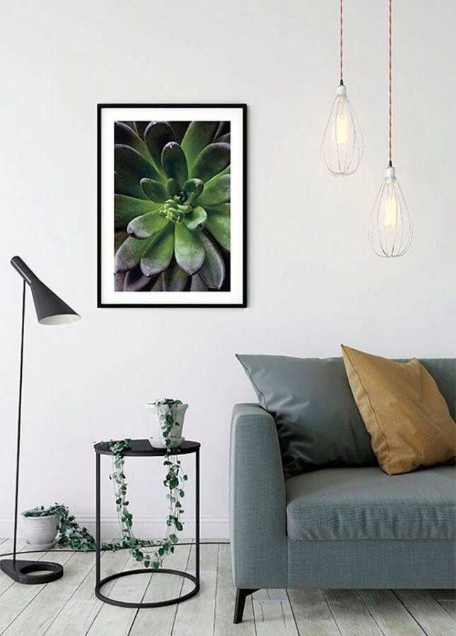 Komar Wanddecoratie Succulent single Wanddecoratie zonder lijst (1 stuk)