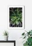 Komar Wanddecoratie Succulent single Wanddecoratie zonder lijst (1 stuk) - Thumbnail 2