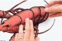 Komar Wandfolie Seafood zelfklevend wandstickers - Thumbnail 3