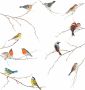 Komar Wandfolie Vogels 50x70 cm (breedte x hoogte) zelfklevende wandtattoo - Thumbnail 2