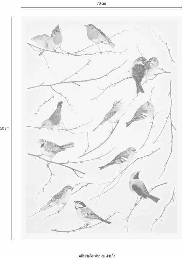 Komar Wandfolie Vogels 50x70 cm (breedte x hoogte) zelfklevende wandtattoo