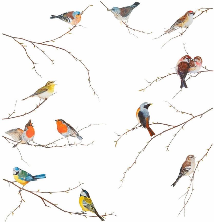 Komar Wandfolie Vogels zelfklevend wandstickers