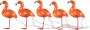 KONSTSMIDE Kerstfiguur Led acryl flamingo's set van 5 40 amberkleurige dioden (1 stuk) - Thumbnail 3