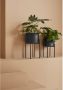 LeGer Home by Lena Gercke Sierpot DORETTE (set 2 stuks) - Thumbnail 3