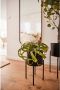 LeGer Home by Lena Gercke Sierpot DORETTE (set 2 stuks) - Thumbnail 4