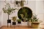 LeGer Home by Lena Gercke Sierpot DORETTE (set 2 stuks) - Thumbnail 6