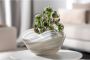 LEONARDO Decoratieve Schaal 27x15 beige zwart ALABASTRO 2-delige set (set 2 stuks) - Thumbnail 6