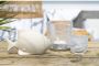 LEONARDO Waxinelichthouder Tafellamp SALERNO (set 4 stuks) - Thumbnail 2