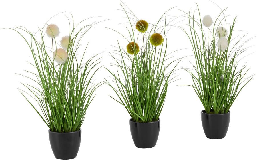 Leonique Kunstgras Grasbundel met bollen Kunstplant gras in een pot set van 3 (set 3 stuks)