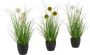 Leonique Kunstgras Grasbundel met bollen Kunstplant gras in een pot set van 3 (set 3 stuks) - Thumbnail 2