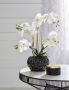 Leonique Kunstplant Orchidee Kunstorchidee in een pot (1 stuk) - Thumbnail 4