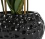 Leonique Kunstplant Orchidee Kunstorchidee in een pot (1 stuk) - Thumbnail 2
