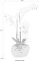 Leonique Kunstplant Orchidee Kunstorchidee in een pot (1 stuk) - Thumbnail 5