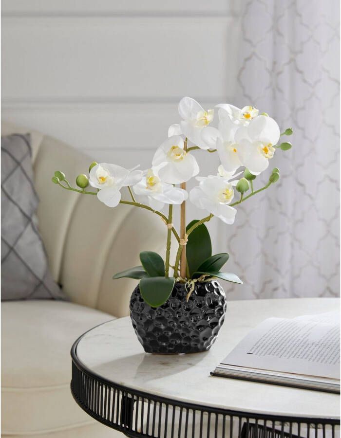 Leonique Kunstplant Orchidee Kunstorchidee in pot bestseller meer dan 2500 4 5-sterren beoordelingen (1 stuk)