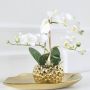 Leonique Kunstplant Orchidee Kunstorchidee in pot bestseller meer dan 2500 4 5-sterren beoordelingen (1 stuk) - Thumbnail 5