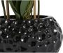 Leonique Kunstplant Orchidee Kunstorchidee in pot bestseller meer dan 2500 4 5-sterren beoordelingen (1 stuk) - Thumbnail 2