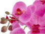 Leonique Kunstplant Orchidee Kunstorchidee in pot bestseller meer dan 2500 4 5-sterren beoordelingen (1 stuk) - Thumbnail 3