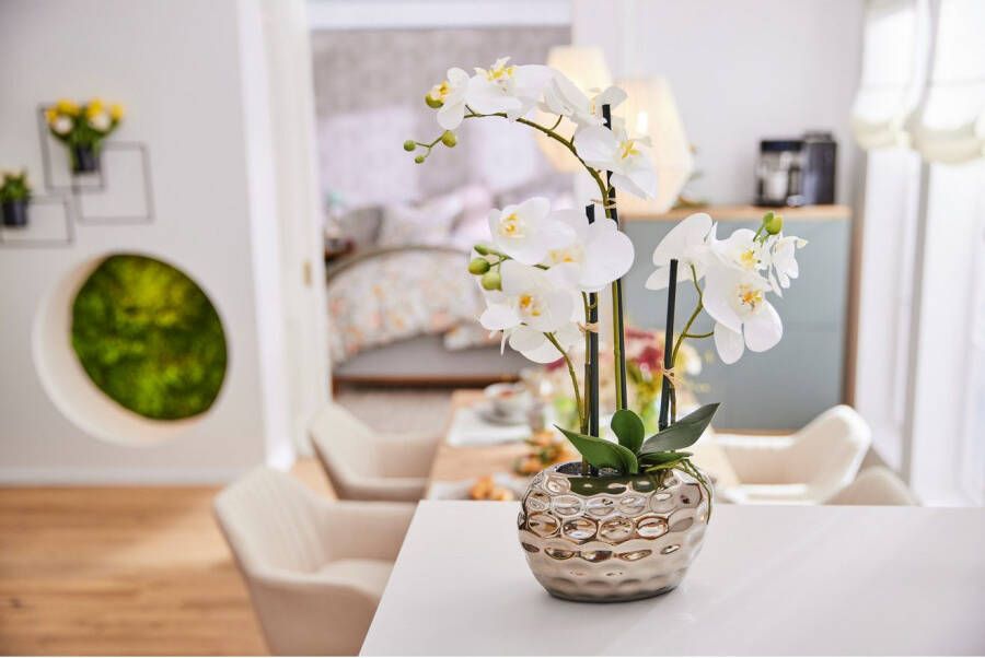 Leonique Kunstplant Orchidee Kunstorchidee in pot bestseller meer dan 2500 4 5-sterren beoordelingen (1 stuk)