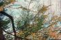 Morgenland Wandkleed Schilderij-kleed figuratief 113 x 64 cm - Thumbnail 3