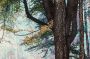 Morgenland Wandkleed Schilderij-kleed figuratief 113 x 64 cm - Thumbnail 4