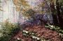 Morgenland Wandkleed Schilderij-kleed figuratief 115 x 65 cm - Thumbnail 4