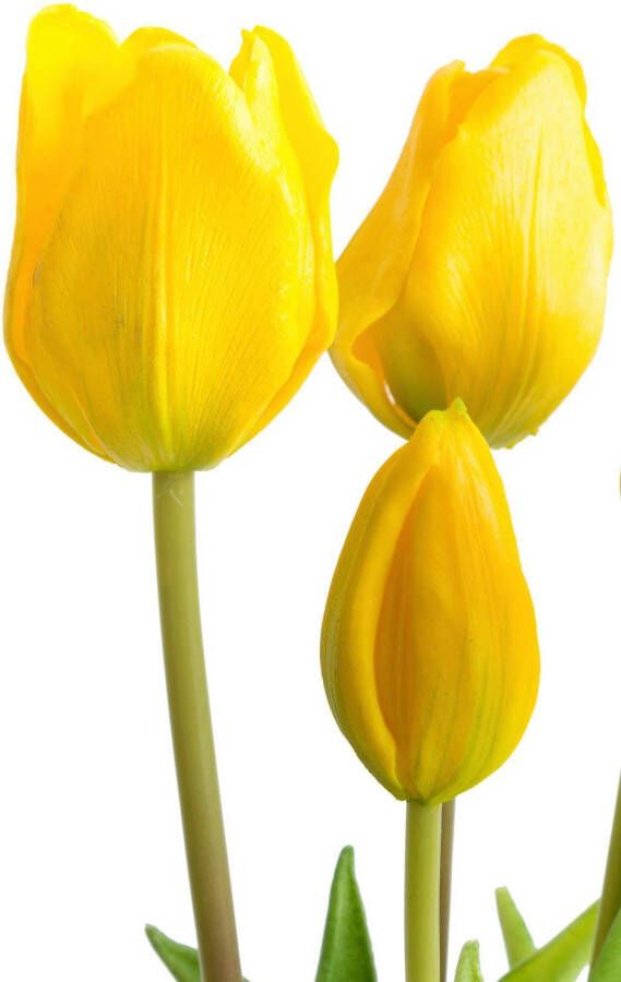 my home Kunstplant Maiva Bos tulpen in 7-delige set (set 7 stuks)
