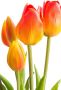 My home Kunstplant Maiva Bos tulpen in 7-delige set (set 7 stuks) - Thumbnail 3
